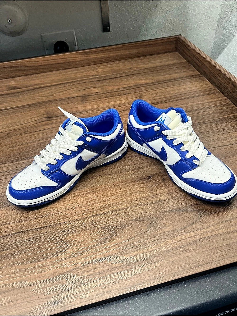 Nike Dunk Low-Top Sneakers in Blue & White Like New